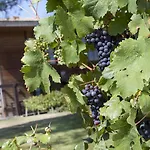 Apart-hotel Les Vignes 3*