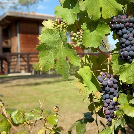 Résidence Les Vignes