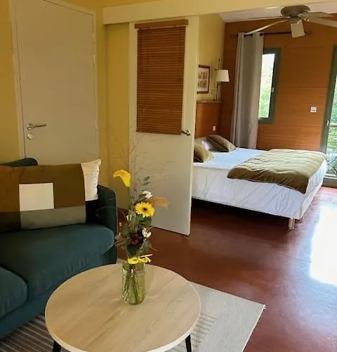 Residence Les Vignes Aparthotel 3*