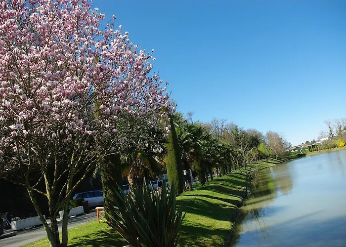 Residence Les Vignes Aparthotel Jonzac