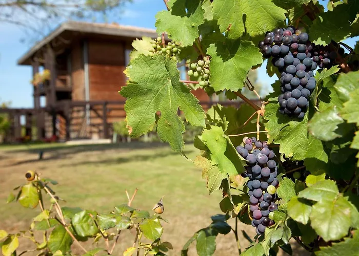 Residence Les Vignes