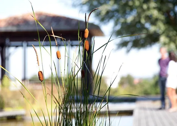 Residence Les Vignes Jonzac