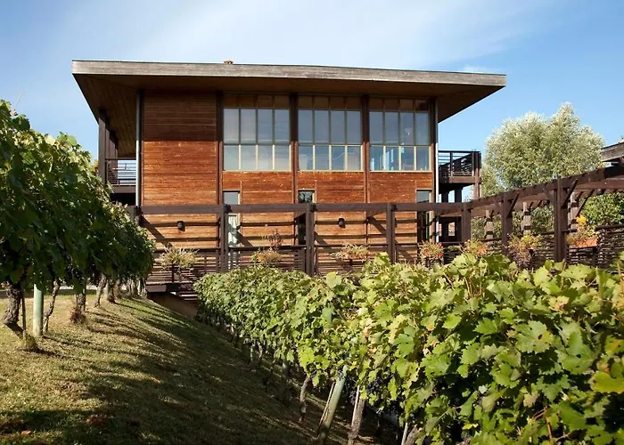 Residence Les Vignes 3*